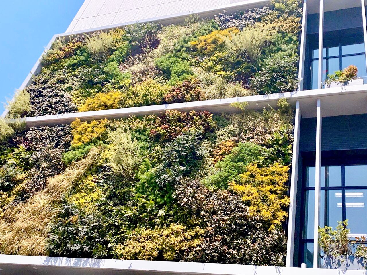 壁面緑化で新たな緑の名所 庭園デザイナー石原和幸