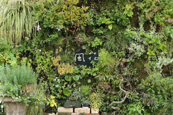 フラワー カフェ 風花 庭園デザイナー石原和幸