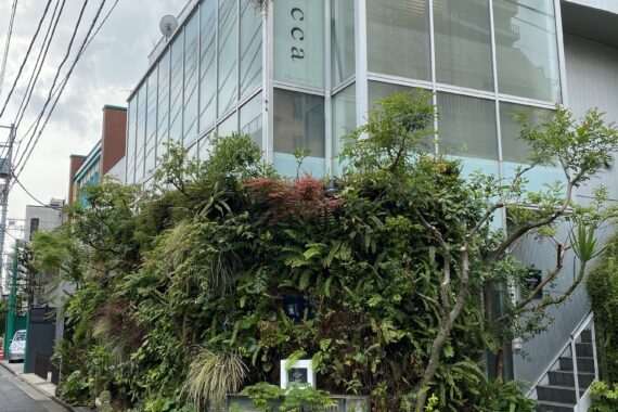 フラワー カフェ 風花 庭園デザイナー石原和幸